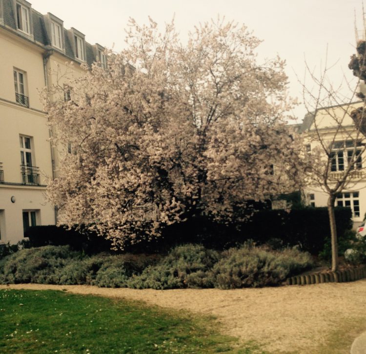 FullSizeRender-2-750x727